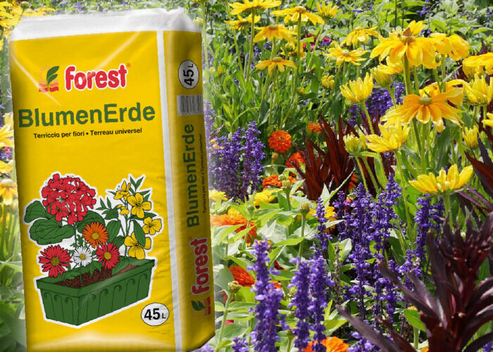 Abverkauf Blumenerde